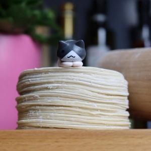homemade gyoza wrappers piled up on a board with a cat miniature on top.