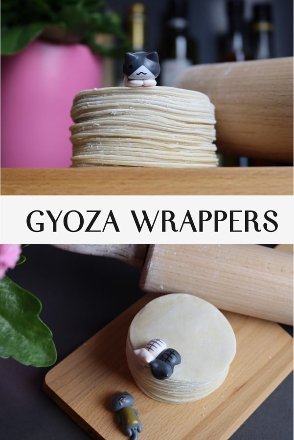 gyoza wrappers