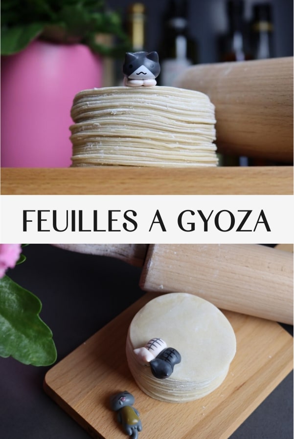 pate a gyoza